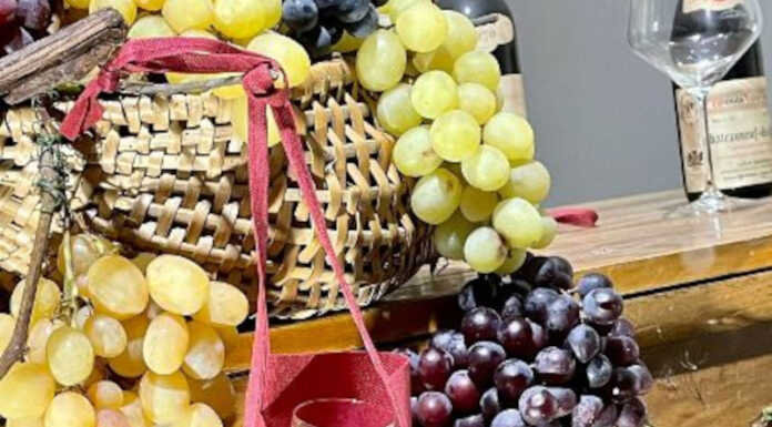 Degustando Dervio, il ritorno: tre tour per immergersi nelle cantine Degustando Dervio 2023