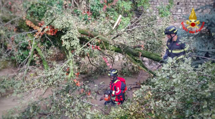 Maltempo, conclusi gli interventi nel Lecchese: liberato il Caldone dagli alberi Vigili del Fuoco fiume Caldone alberi caduti