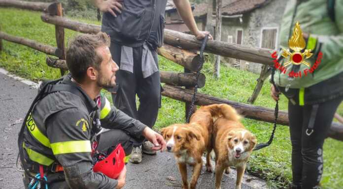 Introbio, in difficoltà alla cascata dello Sprizzottolo: i vigili del fuoco in aiuto di una donna e dei suoi cani