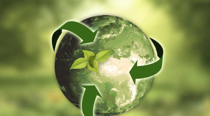 C -Energy: la città di Szombathely a Lecco per discutere di sostenibilità Green sostenibilità generica