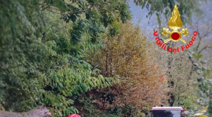 Forte vento, ancora danni: alberi caduti sulla strada in Valvarrone Alberi caduti Valvarrone Vigili del Fuoco