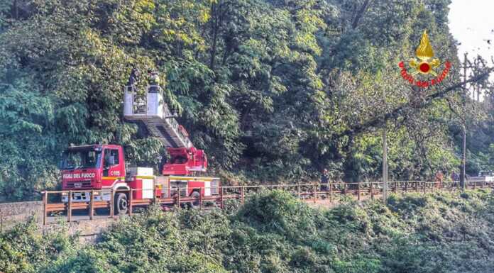 Albero cade sulla linea dell’alta tensione a Vestreno: Vigili del fuoco al lavoro