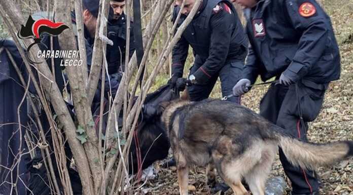 Spaccio nell’Alto Lario, si intensificano le azioni per contrastare il fenomeno Carabinieri spaccio droga controlli Colico Dorio