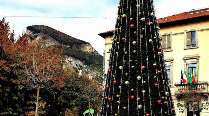 Calolzio si prepara alle feste, arrivano luminarie e albero di Natale Albero di Natale Calolziocorte 2023
