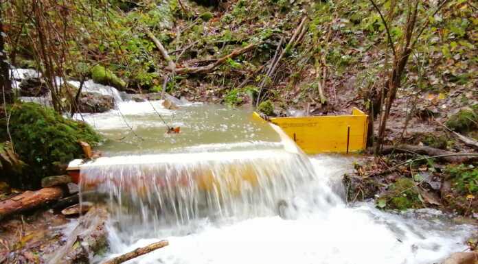 Torrente Bevera. Salvataggio Gamberi di fiume, autorizzate le barriere Barriera gamberi fiume colle b rianza