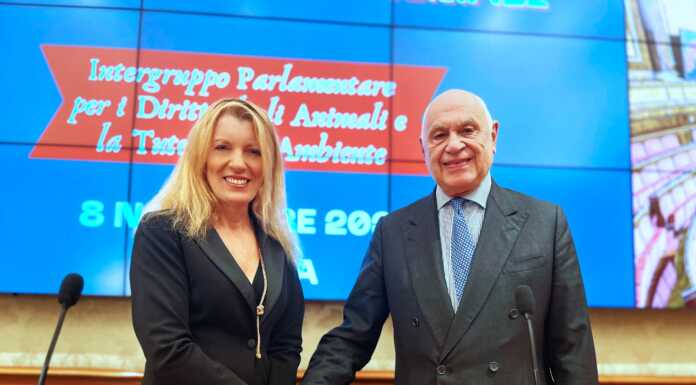 Maltrattamento degli animali, On. Brambilla: “Ora pene più severe” L'On. Brambilla con il Ministro Nordio