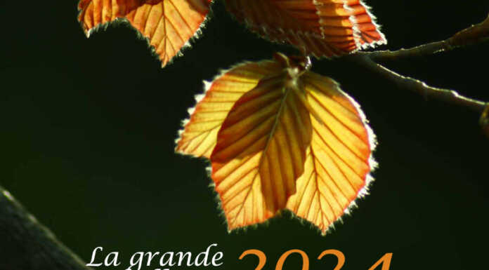 “Monte Barro: la grande bellezza”, premiazione del concorso fotografico Calendario 2024 Parco Barro