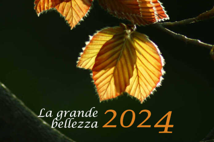 Calendario 2024 Parco Barro