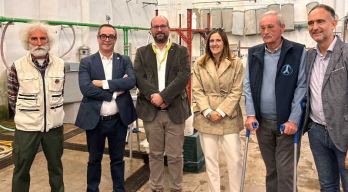 Cormorano. Zamperini (FDI): “Tra parassiti e invasione, biodiversità lariana a rischio” Giacomo Zamperini incubatoio Varenna