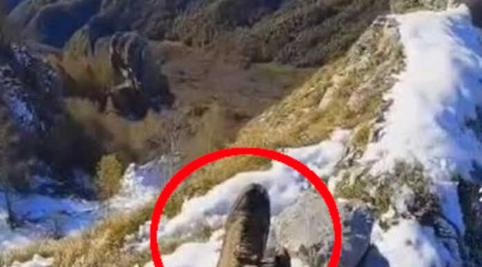 Montagna e social, attenti a chi promuove escursioni senza avere competenze Montagna e influencer particolare scarpe