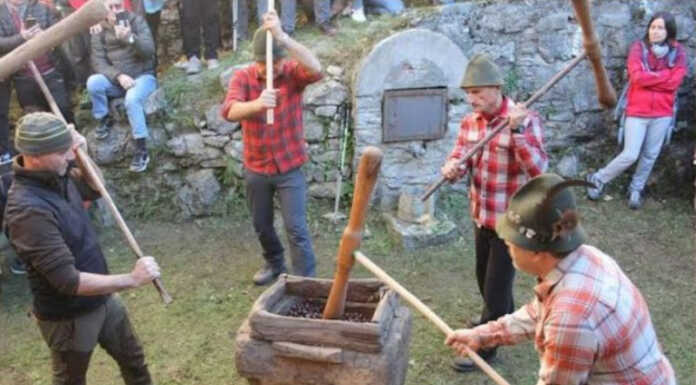 Castagne & Tradizioni a Erve, torna l’evento nel nucleo storico di Nesolio Nesolio Erve Castagne