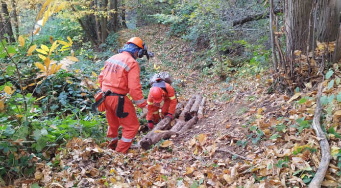 Olgiate: volontari antincendio boschivo al lavoro sul monte di Brianza