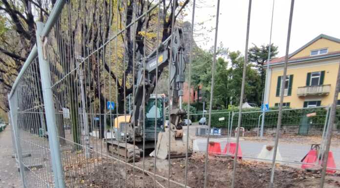 Lungolago, serve una nuova bonifica dallo zinco: “Non ritarderà la partenza del cantiere” lungolago tigli