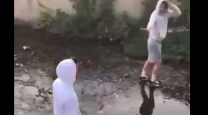 Nutria presa a sassate, la denuncia degli animalisti: “Violenza gratuita” nutria prese a sassate