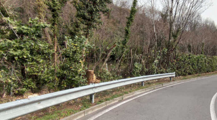 A settembre il nuovo taglio del verde a bordo strada potature lecco diserbo meccanico