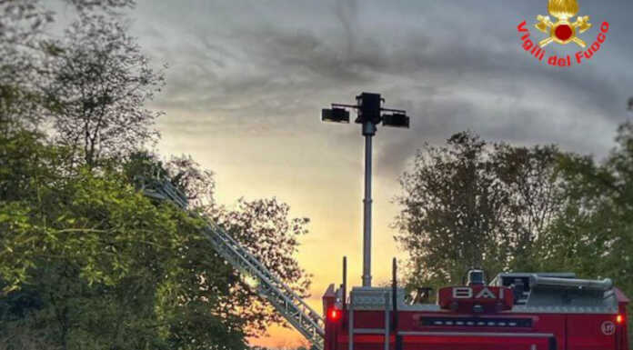 Pianta pericolante sulla Sp342 Briantea, Vigili del Fuoco al lavoro taglio pianta pericolante