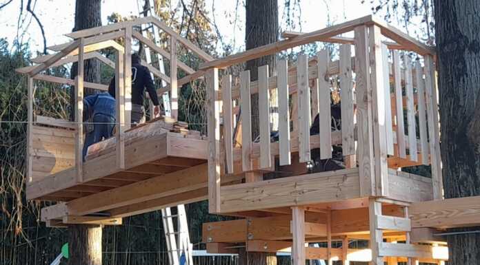 Dervio. Casa sull’albero, procedono i lavori: sarà la prima sul territorio Casa sull'albero parco Boldona Dervio