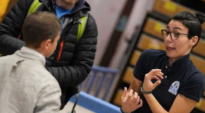 Scherma. Due lecchesi al “Gran prix joy of moving” di Foggia Foggia Mascheri Ciffo 20231218