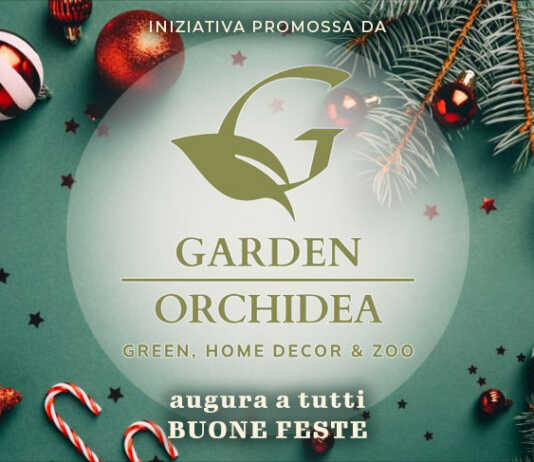 #ilmioalberodinatale 2023 inviaci la foto del tuo albero di Natale! Garden Orchidea