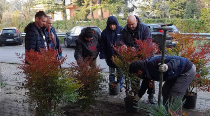 Calolzio. Con l’Arcobaleno sistemata un’aiuola in zona Gallavesa I lavori di sistemazione