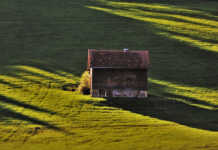 Lecco. Quattro progetti GAL finanziati con 500mila euro da Regione Lombardia Aree rurali pixabay