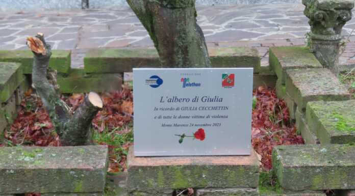 Nel giorno del funerale, a Monte Marenzo nasce “L’albero di Giulia” giulia cecchettin albero monte marenzo