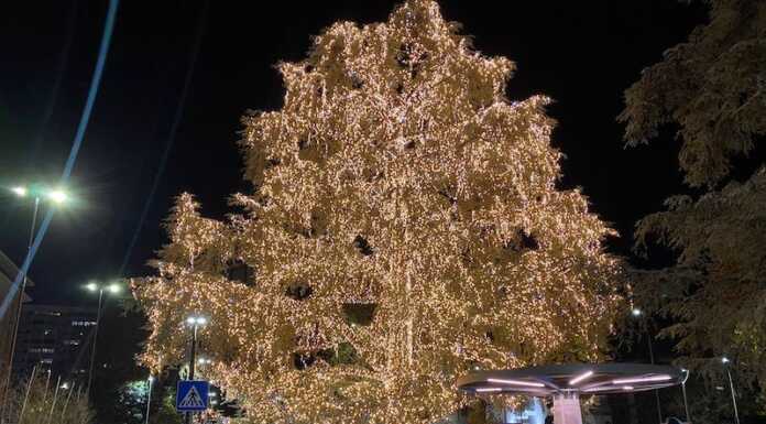 In Piazza Mazzini accese le luci del grande albero di Natale accensioni luci albero piazza mazzini