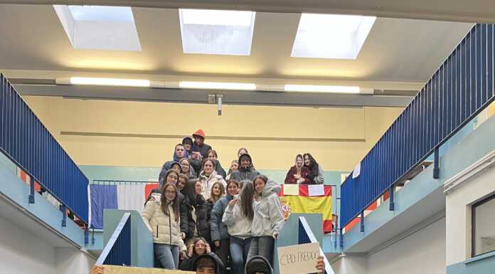 Freddo e disagi, tre classi del Liceo Linguistico non fanno lezione per protesta sciopero studenti liceo linguistico freddo