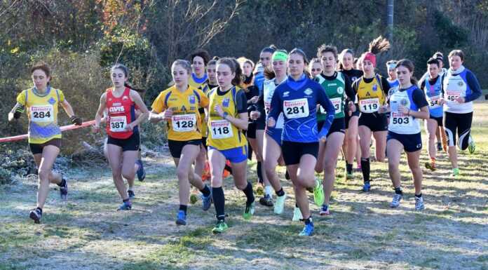 Si è chiuso il Trofeo Lanfritto-Maggioni, vince l’Atletica Lecco Colombo Costruzioni trofeo_lanfritto_maggioni_20231203