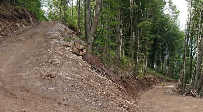Conclusi gli interventi sulla strada Barzio – Piani di Bobbio