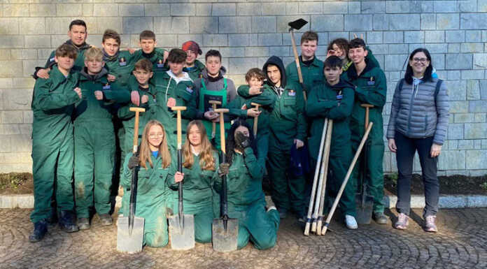 Casatenovo, recupero e riuso dei crisantemi: primi interventi di piantumazione