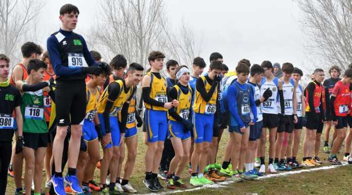 Cross Parco delle Cave, sei squadre lecchesi staccano il pass per il campionato italiano di società Cross_campionato_società_brescia_20240128