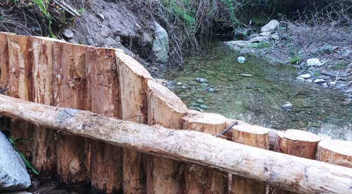 Imbersago: al via i lavori di ripristino ambientale della roggia Ruschetta