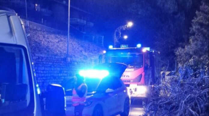 Incidente ad Abbadia, violento scontro tra due auto Incidente Abbadia