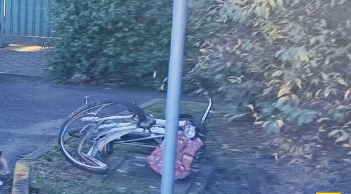 Investita da un’auto a Robbiate, non ce l’ha fatta Maurilia Corno Investimento_ciclista_Robbiate