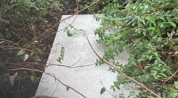 Merate, parco in via Allende: “Garantire tutta la fruizione del verde”