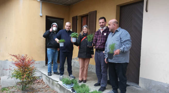 Calolzio, la Pro Loco dona piante aromatiche per abbellire la città Piantine donate dalla pro loco di Calolzio