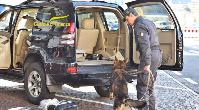 Finanza: controlli frontalieri, sequestrati 1,5 milioni di euro nel 2023 cani finanza