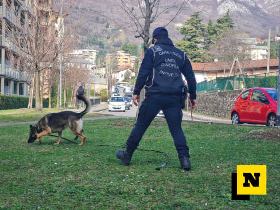 Carabinieri Forestali Bonifica bocconi avvelenati Lecco viale montegrappa febbario 2024