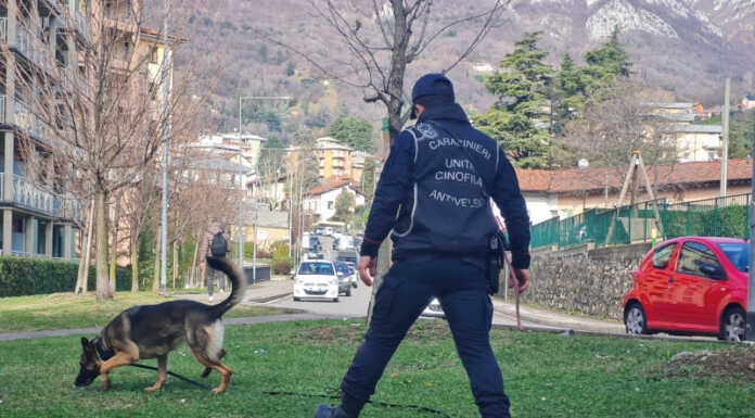 Bocconi killer, bonifica dell’unità cinofila antiveleno dei Carabinieri Forestali di Lecco Carabinieri Forestali Bonifica bocconi avvelenati Lecco viale montegrappa febbario 2024