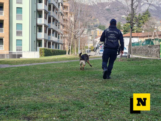 Carabinieri Forestali Bonifica bocconi avvelenati Lecco viale montegrappa febbario 2024