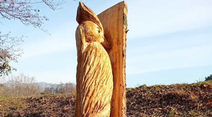 Merate, lago di Sartirana: gli alberi abbattuti trasformati in sculture