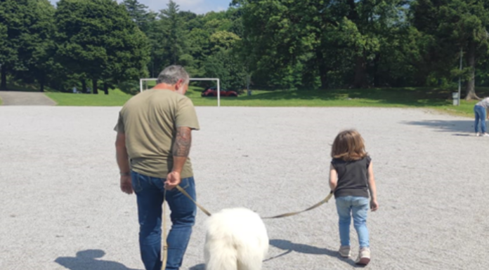 A lezione con gli amici a quattro zampe: ATS Brianza porta i cani nelle scuole