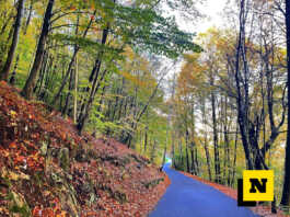 Mappatura foreste periurbane: rischi e resilienza al cambiamento climatico