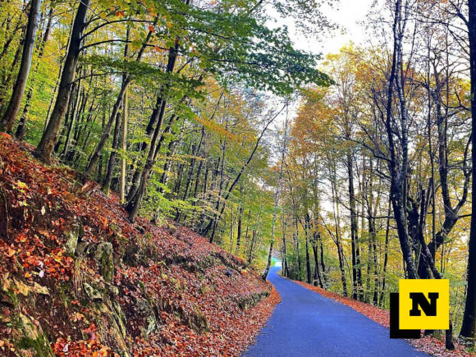 foto bosco premana faedo