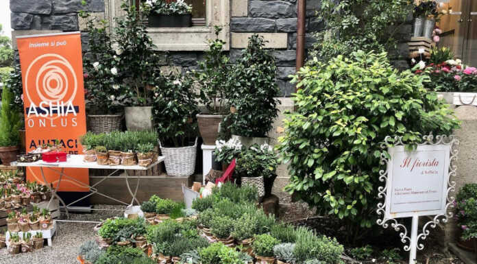 Un fiore per far studiare giovani lecchesi: iniziativa di Ashia e “Il Fiorista” di Lecco Ashia Onlus Il Fiorista Lecco