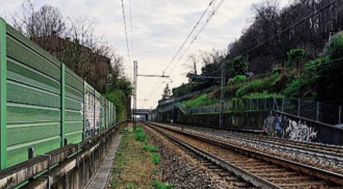 Pecora sui binari: la insegue il sindaco. Treni bloccati per un’ora