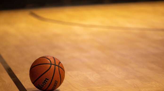 Basket femminile: nasce la squadra delle Pantere Starlight Palla Basket