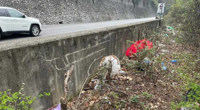 Discarica tra Bonacina e Versasio: rifiuti nei boschi accanto alla Lecco-Ballabio Rifiuti_boschi_tra_Versasio_e_Bonacina_20240323