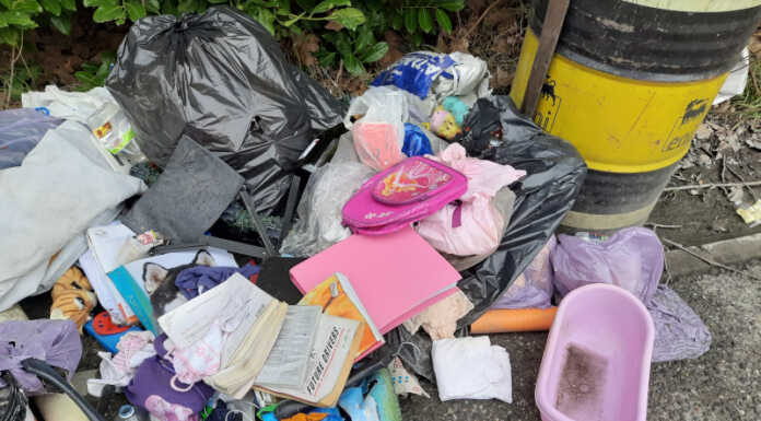 La segnalazione. Ancora rifiuti abbandonati in via Cartiera a Brivio rifiuti brivio